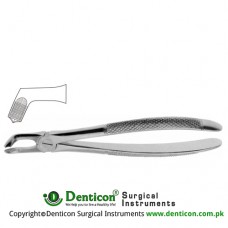 English Pattern Tooth Extracting Forcep Fig. 79 (For Lower Wisdoms) Stainless Steel, Standard